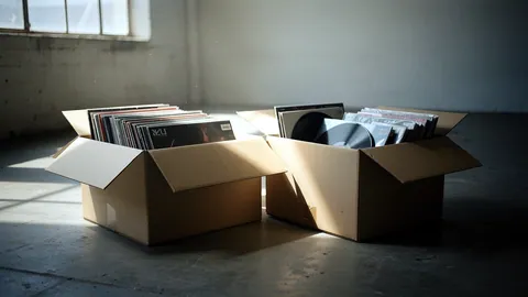 Illustration: Old records and CDs in boxes in a dusty storage room.