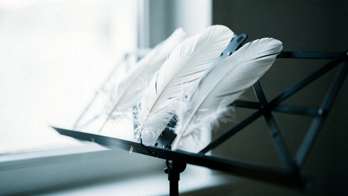 Illustration: Soft goose feathers resting on a music stand by a window.