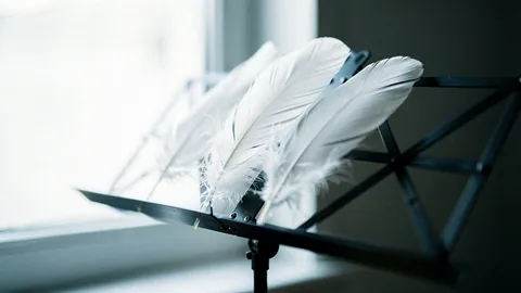 Illustration: Soft goose feathers resting on a music stand by a window.