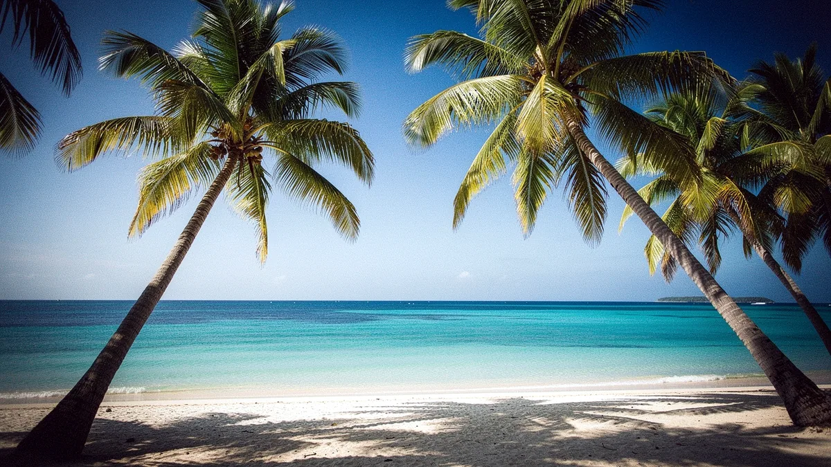 Illustration: Palm trees on a tropical beach over a turquoise sea.